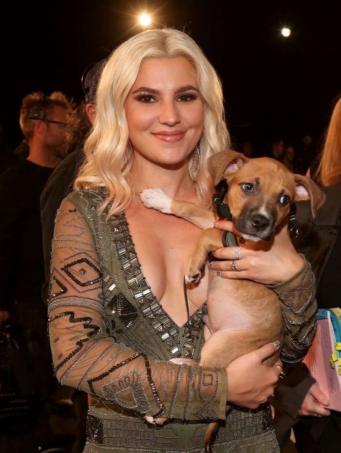 LOS ANGELES, CA - AUGUST 30:  Stand-up comedian Carly Aquilino attends the 2015 MTV Video Music Awards at Microsoft Theater on August 30, 2015 in Los Angeles, California.  (Photo by Christopher Polk/Getty Images)