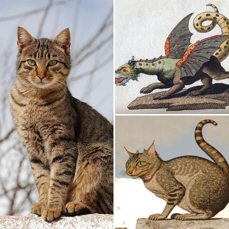 Dua gambar disatukan AI