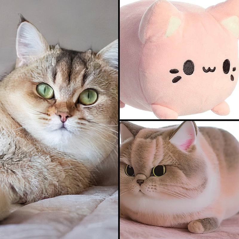 Dua gambar disatukan AI