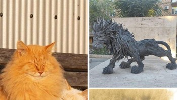 Kucing dan patung singa disatukan. Foto: Ai molodca