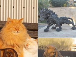 Ketika Dua Objek Disatukan AI, Hasilnya Mencengangkan