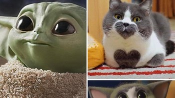 Baby Yoda dan kucing disatukan. Foto: Ai molodca 