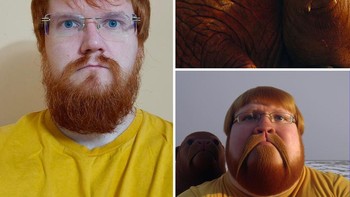 Foto pria dan walrus disatukan. Foto: Ai molodca 