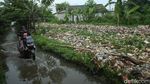 Duh... Aliran Irigasi di Bekasi Tertutup Sampah hingga 300 Meter