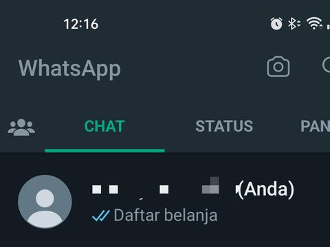 Fitur chat ke nomor sendiri di WhatsApp