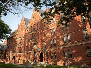 20 Universitas Terbaik di Dunia Versi Webometrics 2024, Nomor 1 Harvard atau Stanford?