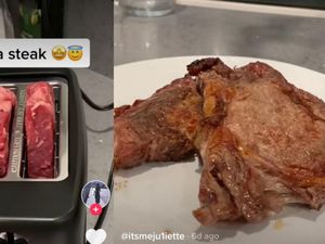 Heboh Tren Panggang Steak di Panggangan Roti, Ternyata Bisa Picu Kebakaran!