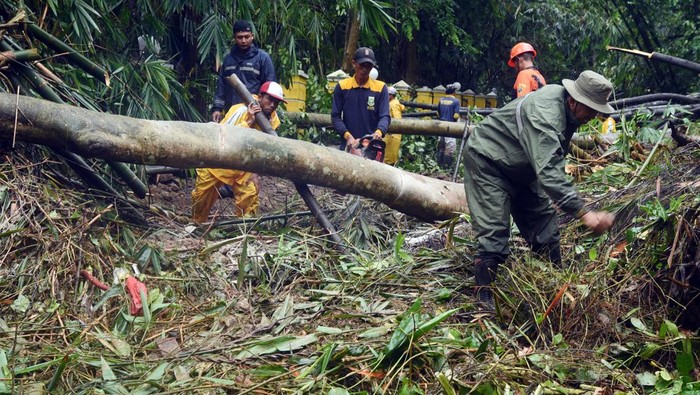 Kondisi Jalan Serang yang Longsor Usai Diguyur Hujan Sejumlah petugas Badan Penanggulangan Bencana Daerah (BPBD) Banten menyingkirkan material longsor di Kampung Cikoak, Cilowong, Serang, Banten, Kamis (17/11/2022). Jalur wisata dari Serang menuju Anyer melalui Gunungsari ditutup sementara akibat terjadi longsor di sejumlah titik setelah kawasan tersebut diguyur hujan lebat sejak Rabu (16/11) malam. ANTARA FOTO/Asep Fathulrahman/hp.