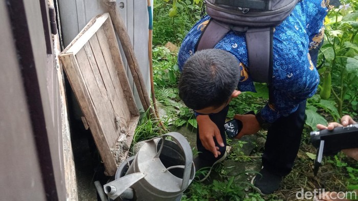 Petugas memeriksa jentik nyamuk di sekitar permukiman warga di Klaten, Kamis (17/11/2022).