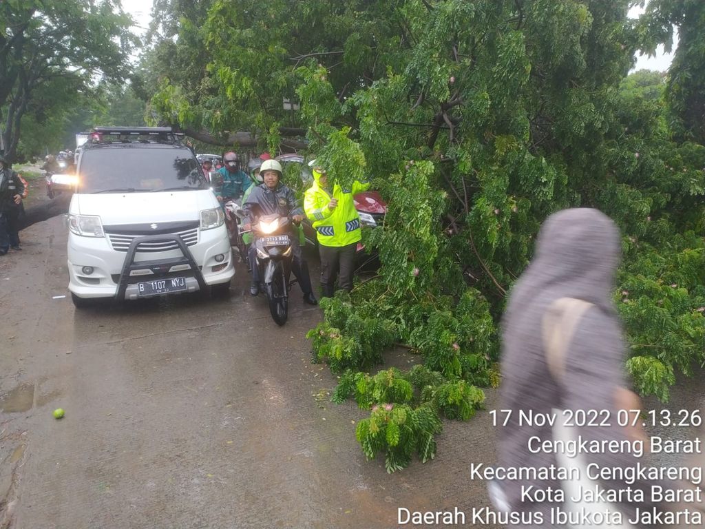 Pohon tumbang di Jl Kamal Raya, Cengkareng, Jakarta Barat, 17 November 2022 pagi. (Dok TMC Polda Metro Jaya)