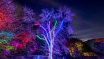 Panorama Warna-warni Taman Botani Brooklyn yang Indah Banget