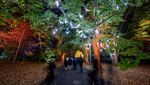 Panorama Warna-warni Taman Botani Brooklyn yang Indah Banget