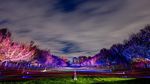 Panorama Warna-warni Taman Botani Brooklyn yang Indah Banget