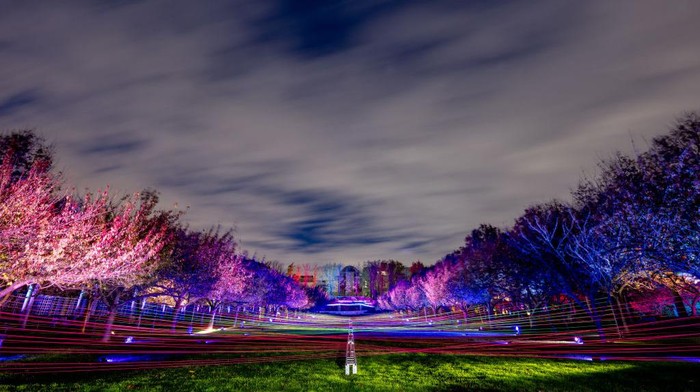 Sumpah, Taman Botani Booklyn Indah Banget Taman Botani Brooklyn, New York, Amerika Serikat, tampil dengan instalasi tata cahaya warna-warni yang memukau. Penasaran?