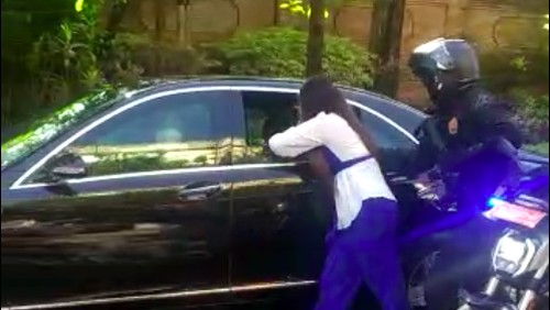 Viral wanita di Bali terobos Paspampres untuk salaman dan minta kaus dari Jokowi (Tangkapan video viral)