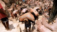 Salah satu tambang kobalt terkenal di Kongo adalah Shabara. Di sana sekitar 20 ribu orang bekerja tanpa henti untuk menambang kobalt.  