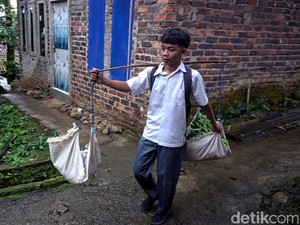 Cita-cita Adia Ruswandi, Penjual Sayur Berseragam SMA dari Sukabumi
