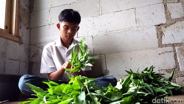 Adia Riswani, siswa SMA penjual sayur di Sukabumi.