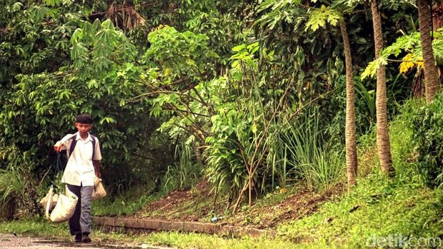 Adia Riswani, siswa SMA penjual sayur di Sukabumi.