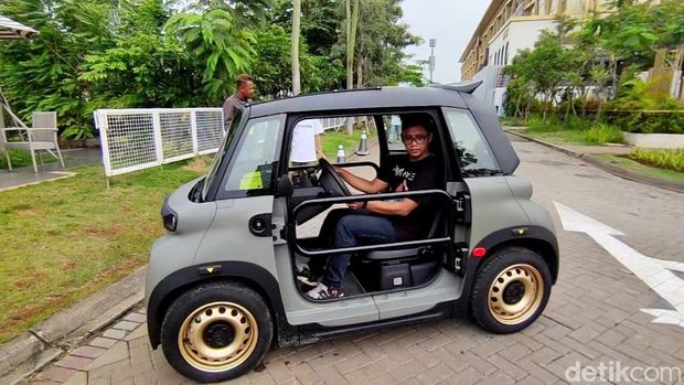 Citroen Ami Buggy.