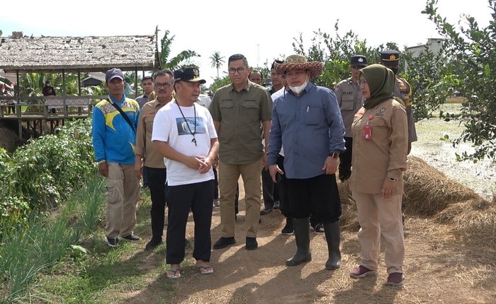 Gubernur Kalteng Cek Food Estate