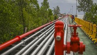 Memiliki wilayah seluas 657,33 km2 dengan jumlah penduduk mencapai 244.185 jiwa, Tarakan menjadi satu-satunya kota yang ada di ujung utara Pulau Kalimantan dengan mobilitas tertinggi di antara daerah-daerah lainnya.