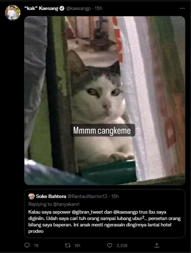 Kaesang Pangarep baru saja melontarkan beragam meme lucu ke netizen di Twitter. Hal ini sontak membuatnya mendapatkan beberapa follower baru.