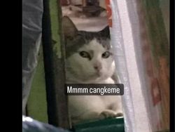 Kocaknya Meme dari Kaesang, Balas Cuitan Netizen di Twitter