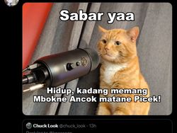 Kocaknya Meme dari Kaesang, Balas Cuitan Netizen di Twitter