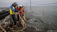 Warga harus siap untuk mandiri bertahan melawan ganasnya abrasi pantai di kawasan itu. Terlihat pekerja sedang membuat patok untuk pemecah ombak. Perlu diketahui pemecah ombak di desa itu telah dipasang untuk menahan ganasnya abrasi.  