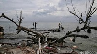 Berdasarkan informasi dari Kementerian Kelautan dan Perikanan secara umum, pengertian abrasi adalah suatu proses alam berupa pengikisan tanah pada daerah pesisir pantai yang diakibatkan oleh ombak dan arus laut yang sifatnya merusak terkadang juga disebut dengan erosi pantai.  