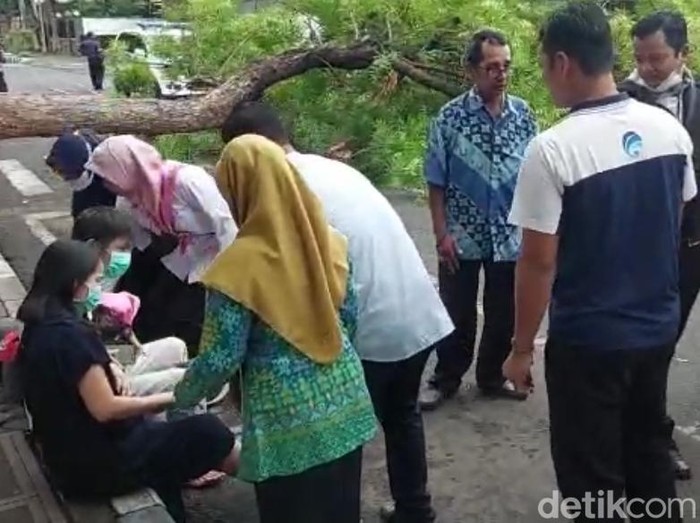 Pemotor berboncengan tetimpa pohon tumbang