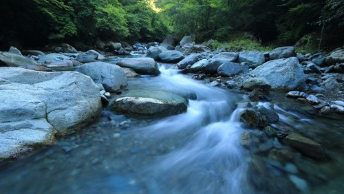 Ilustrasi pola aliran sungai.