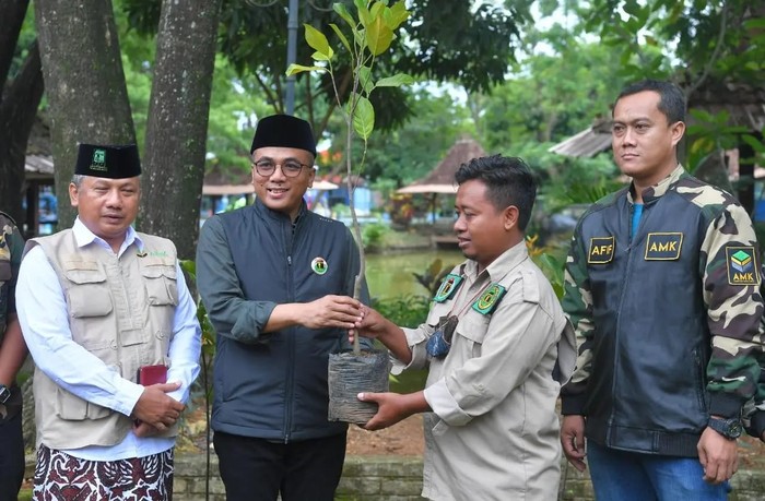 PPP Serahkan Bibit Nangka ke Kader