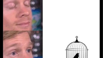 Selamat tinggal Twitter si burung biru. Foto: (Twitter).