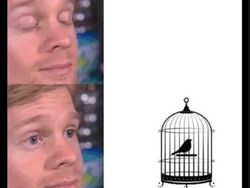 Deretan Meme #RIPTwitter Usai Karyawan Resign Massal