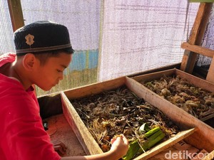 Bangun Ketahanan Pangan dari Sisa Makanan ala Pesantren Al Fath Sukabumi