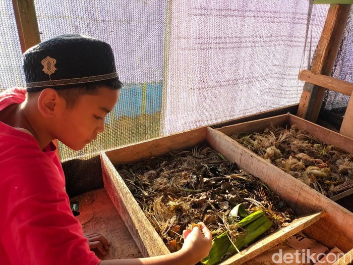 Upaya Pesantren Al-Fath Sukabumi bangun ketahanan pangan dari limbah makanan sisa