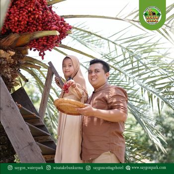 Tak perlu jauh-jauh ke Timur Tengah jika hanya ingin menikamti sensasi kebun kurma. Sebab, kebun kurma juga ada di Kabupaten Pasuruan.