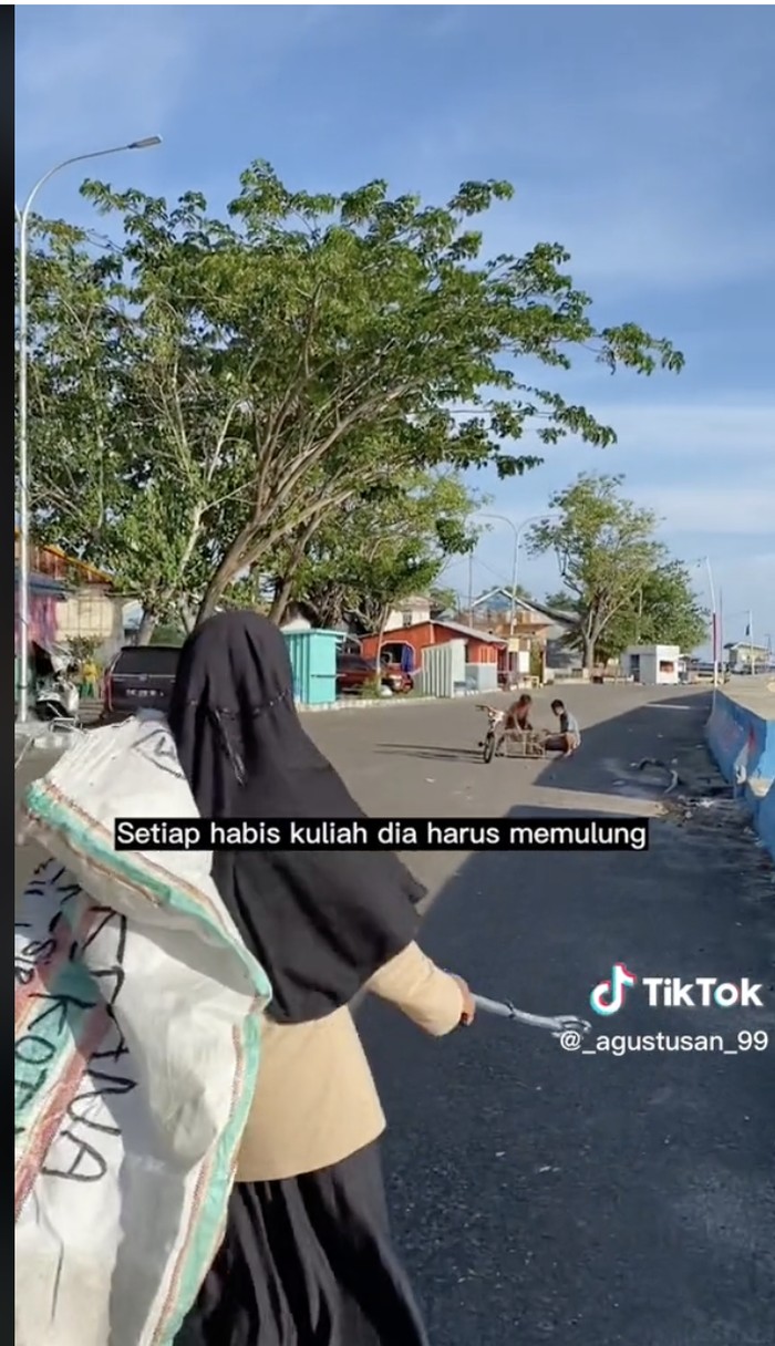 Ardiah, mahasiswi yang jadi pemulung di Majene Sulbar (TikTok @agustusan99) Ardiah, mahasiswi yang jadi pemulung di Majene Sulbar (TikTok @agustusan99)