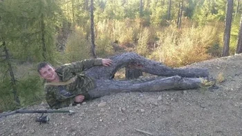 Manusia setengah pohon. Foto: Reddit