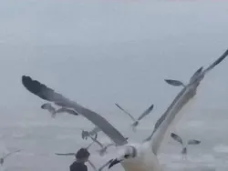 Uji Kejelian Mata, Terkecoh Tidak Melihat Gambar Ini