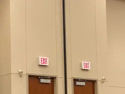 Uji Kejelian Mata, Terkecoh Tidak Melihat Gambar Ini