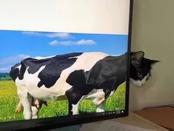 Uji Kejelian Mata, Terkecoh Tidak Melihat Gambar Ini