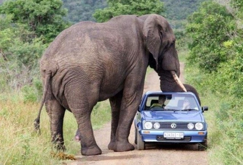 Foto sebelum tragedi