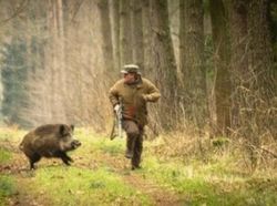 Foto yang Diambil Beberapa Detik Sebelum Tragedi Terjadi