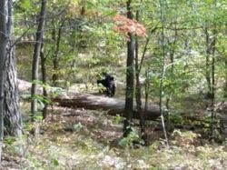 Foto yang Diambil Beberapa Detik Sebelum Tragedi Terjadi