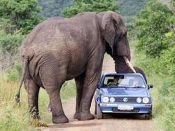 Foto yang Diambil Beberapa Detik Sebelum Tragedi Terjadi