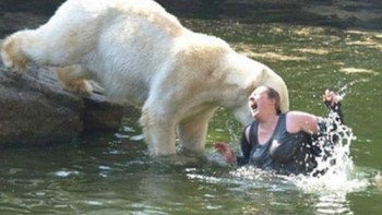 Para pengunjung Kebun Binatang di Berlin tercengang ketikamengetahui Mandy K melompat ke kandang beruang kutub pada tahun 2009. Mantan suaminya menduga Mandy melakukan hal itu karena tertekan akibat tak kunjung mendapatkan pekerjaan. Tindakan Mandy melompat ke kandang beruang dipercaya sebagai upaya bunuh diri. Beruntung Mandy masih dapat diselamatkan meski mengalami luka-luka cukup parah disekujur tubuhnya. Pengelola menuntut Mandy karena dianggap telah merusak reputasi keamanan Kebun Binatang Berlin. Foto: Postoast