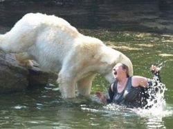 Foto yang Diambil Beberapa Detik Sebelum Tragedi Terjadi